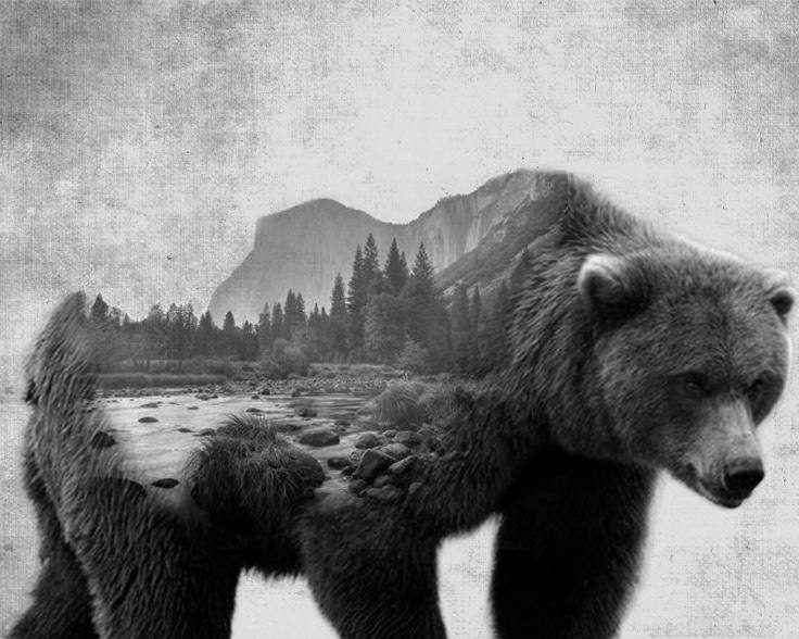 Double Exposure Series