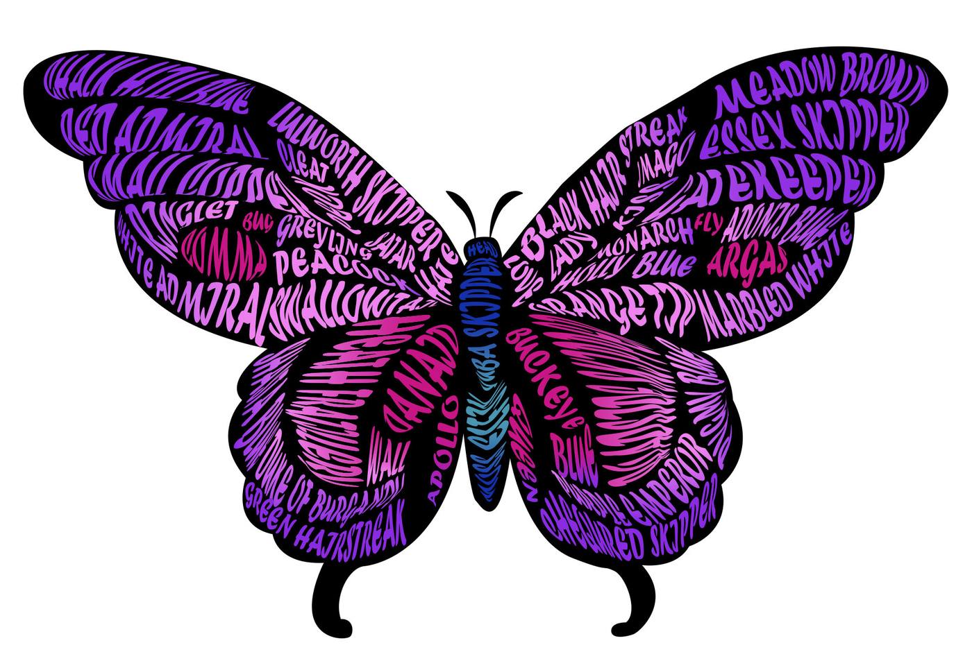 Butterfly Neo Traditional Illustration